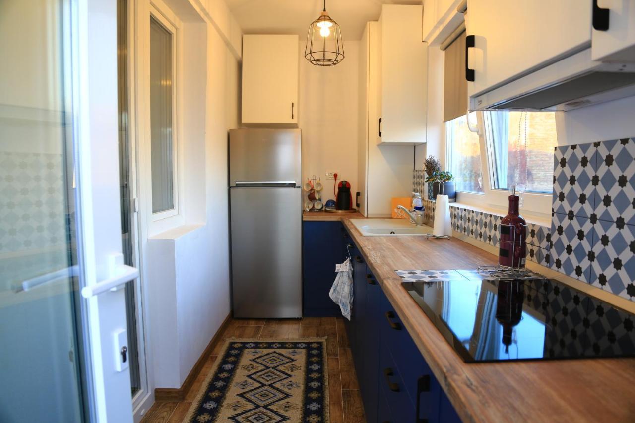 Dominic Apartment Unirii Square Temešvár Exteriér fotografie